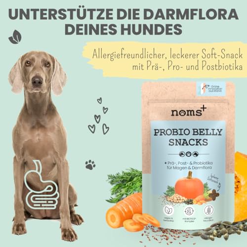 noms+ Probio Belly Snacks für Hunde | bei Sodrennen, Grasfressen, Kotfressen & Verstopfung | Darmaufbau mit Probiotika BIOTICS³-Komplex | geeignet für Allergiker & Sensible Hunde | XXL-Beutel