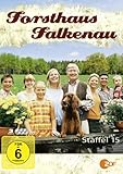  Forsthaus Falkenau - Staffel 15 [3 DVDs]