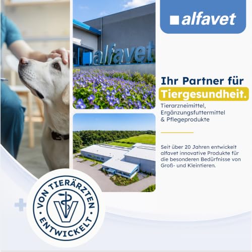 Alfavet Urostat 100 ml - für Hunde & Katzen - Harnwege & Blase