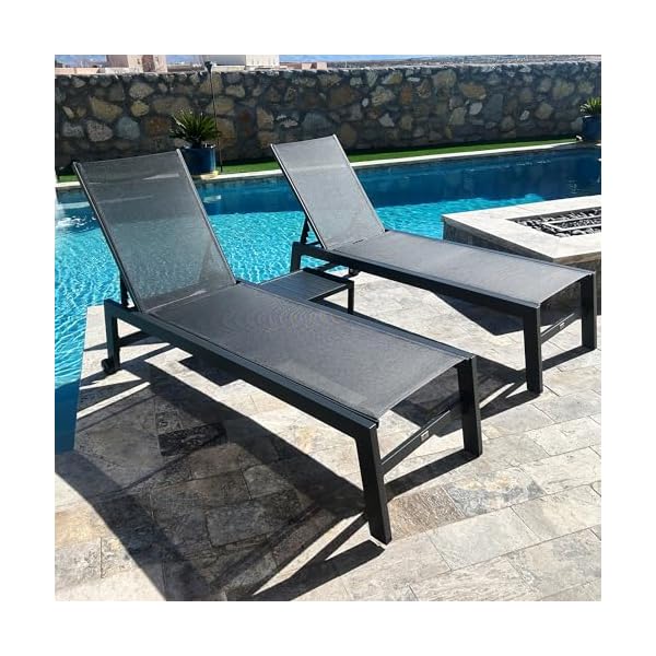 PURPLE LEAF Gartenliege 2er-Set Aluminium Grau
