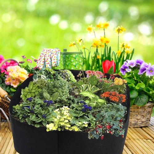 Bolsa de cultivo para plantar huerto rectangular de fieltro negro 3