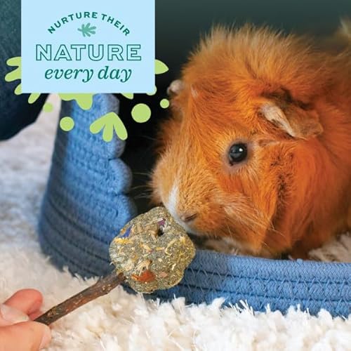 Oxbow Enriched Life Twisty Rings - Rabbit Toys, Guinea Pig Toys, Hamster, Rabbit, Chinchilla, Rat, Chinchilla Cage Accessories, Guinea Pig Accessories for Cage - Image 5