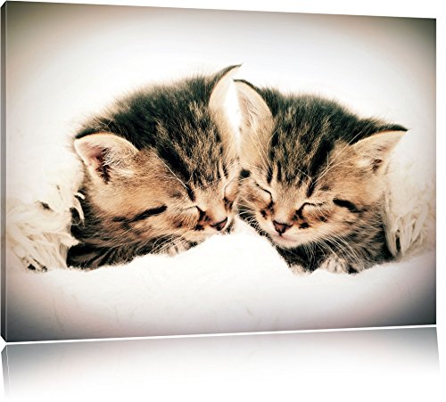 Pixxprint Forme de Coeur de Chat sur la Toile, Format XXL Support en Bois, Leinwand Format:60x40 cm