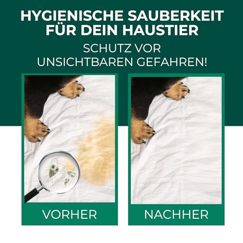 Silberkraft Anti-Giardien-Spray 500ml – Wirksames Desinfektionsmittel gegen Giardien für Hunde & Katzen – Hygienespray für Tierumgebung, Böden & Näpfe – Inkl. Gratis E-Book
