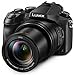 Panasonic Lumix Dmc-Fz2500 64 GB 20.1 Mp Digital Camera With 20X Optical Zoom (Black)