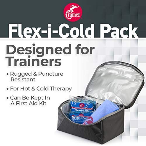 Image of Flex-I- Reusable Cold Packs - Regular 6x9