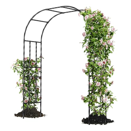 Caroeas Arche de Jardin pour Plantes Grimpantes,150x240x40cm，Arceau Métallique pour Rosiers, Tonnelle Décorative Extérieure, Résistante à la Rouille et à la Décoloration