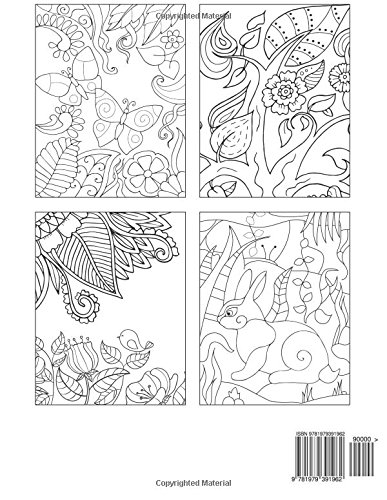 Large Print Easy Pattern Coloring Book (Premium Adult Coloring Books) image 2