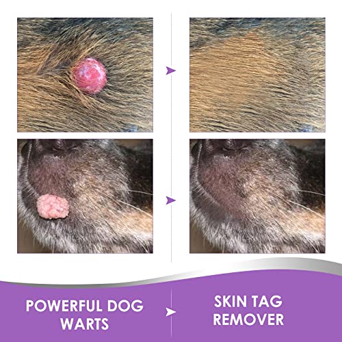Vifycim Dog Skin Tag Remover, Natural Dog Wart Remover, Painless Dog Warts Removal Treatment Skin Tag & Wart Remover For Dogs | 20Ml, Purple, 0.67 Fl Oz (Pack Of 1) (Dwr-B-01) #TOP2