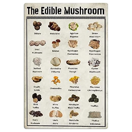 Letreros metálicos con información sobre violín, partes del violín y arco, infografías, pósteres de hojalata, guía para principiantes, placas, estudio de música, decoración de pared para el hogar, 8 x