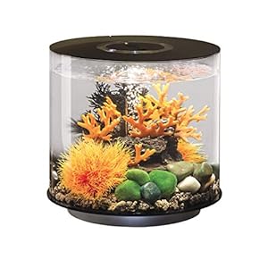 BiOrb 72062 Tube 15 leds, zwart, 15 liter, 360 graden decoratief aquarium, complete set van acrylglas met ledverlichting…