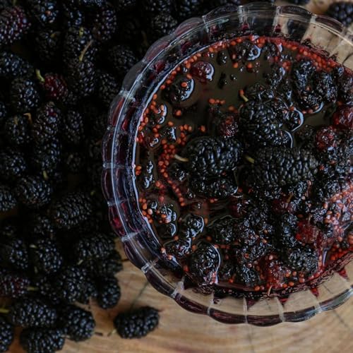 Image of Vistevia Sugar Free Mulberry Jam, Diabetic and Keto Friendly - Sweetened Naturally With Stevia, More Than 60% Mulberry Content - Delicious To Taste, Pack of 1 (400G)