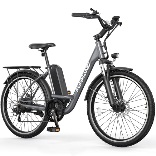 Funhang 1000W City Cruiser Ebike