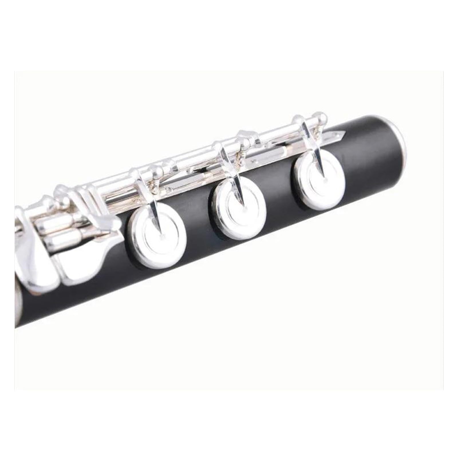 【古い】フルート Yahoo!オークション - タネ フルート TANE'S FLUTE LABORATORY