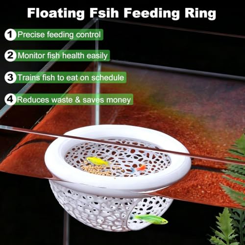 Image of Floating Betta Hammock and Feeding Ring, Aquarium Beta Hideout, Cave, Bed
