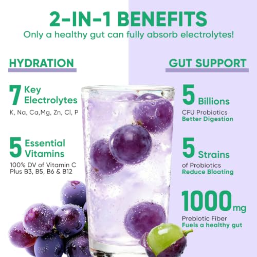Image of Venture Pal Sugar Free Hydration Packets + Gut Health Electrolytes Powder