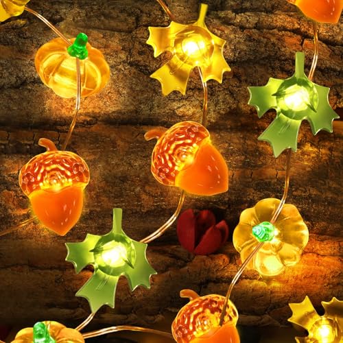 Coquimbo Herbstdekoration, 3 m, 30 LED-Kürbis-Ahornblatt-Lichter, batteriebetrieben, Herbsternte, Tisch, Innen- und Außenbereich, Herbstdekoration, Halloween, Erntedankfest, Party-Dekorationen,