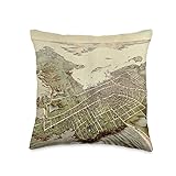 Vintage Newport RI Birds Eye Map (1878) Throw Pillow