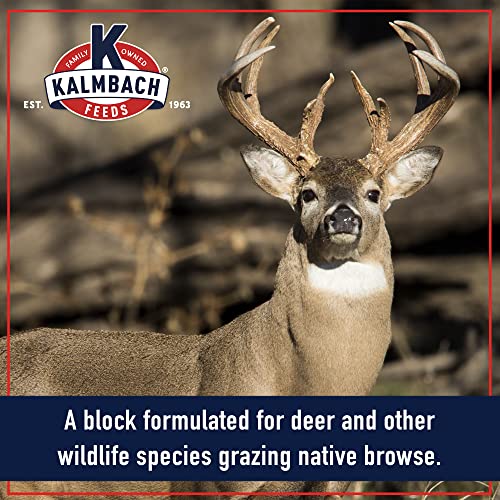 Kalmbach Feeds Apple Flavored Deer Block, 20 lb