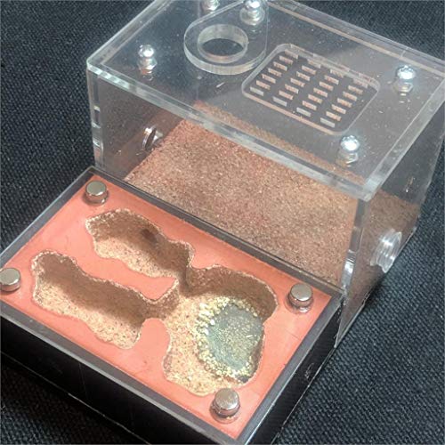 ZSBY Mieren Boerderij Insect Ant Villa Hydraterende Licht Shading Ecologische F Mieren Farm Acryl Pleister Mieren Nest… - Afbeelding 4