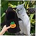 BESPORTBLE Halloween Bird Cosplay Clothing Comfortable Parrot Costume for Pets Durable Fleece Reusable Bird Outfit for Parties and Festivals for Parrots