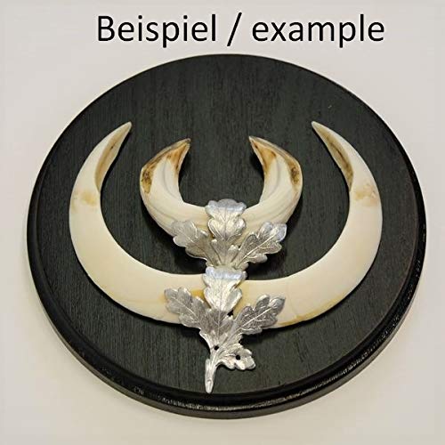 GTK - Geweihe & Trophäen KRUMHOLZ 3 Stück Keilerschilder Keilerbrett Gewaffbrett Trophäenschild rund dunkel AF 17 cm mit 6 Stück Aluminium Eichenlaub Deckblatt