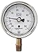 Ashcroft Duralife Type 1009 Stainless Steel Case Dry Filled Pressure Gauge, Stainless Steel Tube and Bronze Socket, PLUS Performance Dampening, 2.5" Dial Size, 1/4" NPT Lower Connection, 30" Hg Vac/0/60 psi Pressure Range