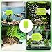 TURAOHU 2 Pcs Turtle Brush with Suction Cups, 2 Large Decorative Duckweed, Turtle Tank Accessories, Not Easy to Peel, Shell Exfoliating Back Scrub Cleaning Brush (Green)
