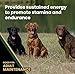 VICTOR Super Premium Dog Food – Performance Dry Dog Food from Beef, Chicken and Pork Meal – 26% Protein for Active Adult Dogs – Includes Glucosamine and Chondroitin for Hip and Joint Health, 40lbs