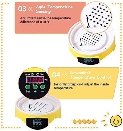 WXHN 7 Eier Digital Inkubator, Mini Automatische Hühnerente Gans Vögel Brutmaschine, Sichtbar entworfene automatische… – Bild 6