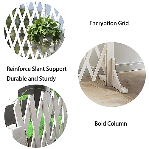 Solution de décoration de jardin rétractable contre le vis-à-vis - 7