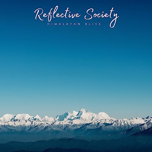 Reflective Society