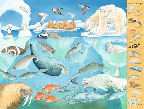 Riesen-Wimmelbuch: Das Riesen-Tiere-Wimmelbuch: Übergroßes Buch für Kinder ab 2 Jahren