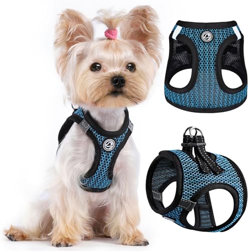 No Pull Small Dog Harness for Under 22 lbs Dogs, Step in Air Mesh Puppy Reflective Lightweight Dogs Cats Vest (Blue, XXXS