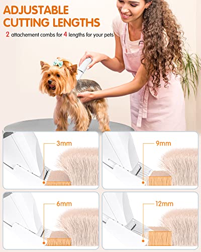 Dog Grooming Clippers Kit, 4 In 1 Low Noise Pet Grooming Kit, Rechargeable Cordless Ipx7 Dog Hair Clippers Dog Paw Trimmer Nail Grinder Trimmer For Small To Medium Pets(White) #TOP3