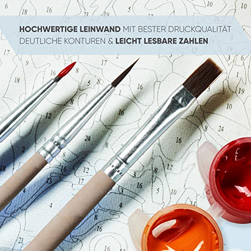 MARPL Malen nach Zahlen mit Rahmen - Motiv Löwe Bunt 40x50cm - Painting by Numbers mit Leinwand, Pinsel, Acrylfarben und… – Bild 4