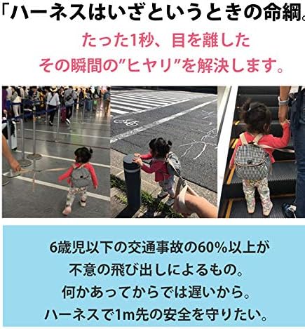 [dad'cco] ダディッコ ハーネスリュック 子供用 ハーネス付 ベビーリュック 赤ちゃん ベビー リュック rucksack backpack baby leash 1st birthday gift