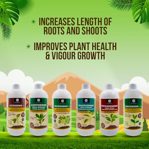 Image of OrganicDews Azospirillum, Azotobacter, Rhizobium, PSB, KMB, Zinc Solublizing Bacteria 1 Litre Bio Fertilizer Combo - Increases Soil Fertility, Plant Growth & Yield