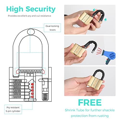Image of 81 /40-2P Brass Keyed Padlock (Keyed Alike, Waterproof, Solid Brass Lock) for Sheds, Storage Unit, School, Gym Locker, Fence, Toolbox, Hasp, Storage - 1-9 /16 in. (40 mm) *2