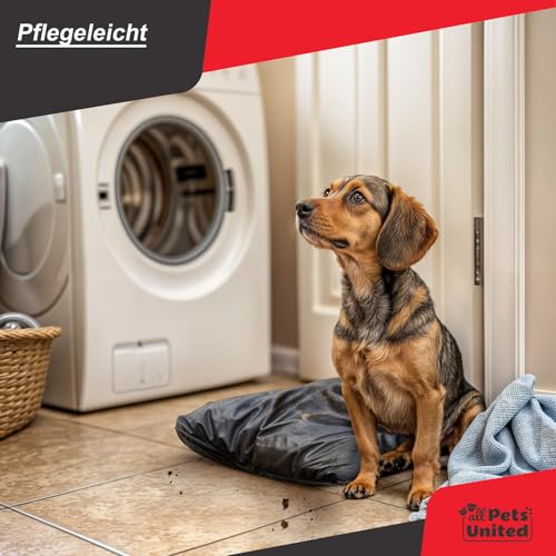 all Pets United® Hundekissen Hundebett Indoor & Outdoor; Hunde-Kissen Hunde-Körbchen; Schlafplatz für Hund & Katzen (L - 100x70 cm)