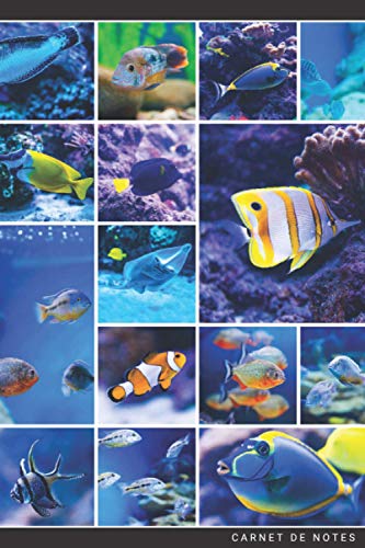 Carnet de notes pour passionné Aquarium: 120 pages lignées | loisir, hobby | Cadeau Anniversaire Noël Adulte Homme Femme Enfant