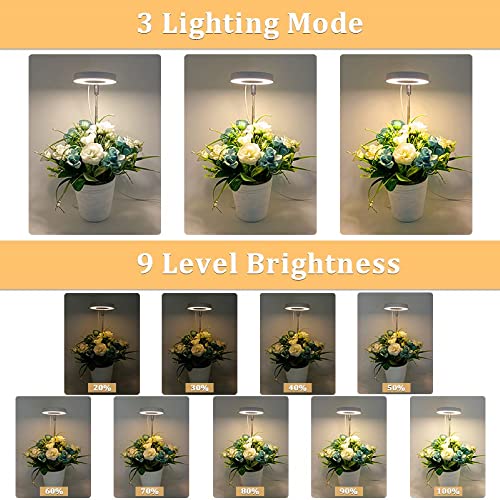 Rigute 植物育成ライト LED の商品画像 5