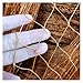 Solid Tyre Line Netting -Nylon Net Anti Bird Crops Protective Fencing Mesh(2mx5m)