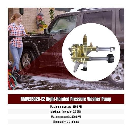 RMW25G28-EZ Pressure Washer Pump Replacement