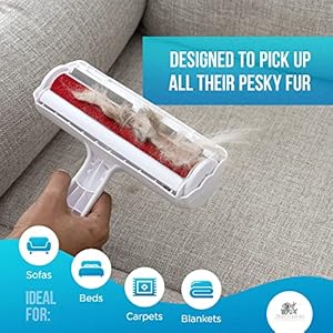 Couch pet hair removal tool and roller  reusable easy to clean dog hair remover for couch and car no batteries or mess ideal for cat hair too   cucciolini doodles
