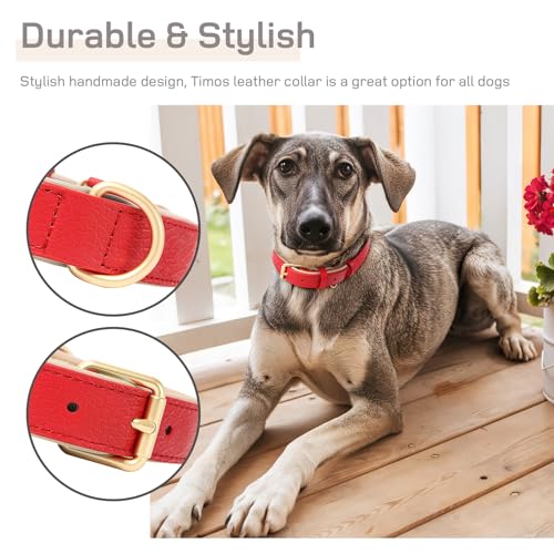 HEELE Hundehalsband, Halsband Leder mit gepolstert und echtes Leder, Verstellbar für Welpen Kleine Mittel Grobe Hunde, Neu-Rot, S