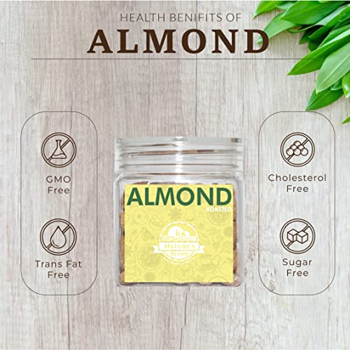 Image of Nature's Blend Almond Roasted Selected 100g Jar