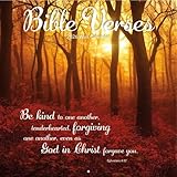 TURNER PHOTOGRAPHIC Bible...image