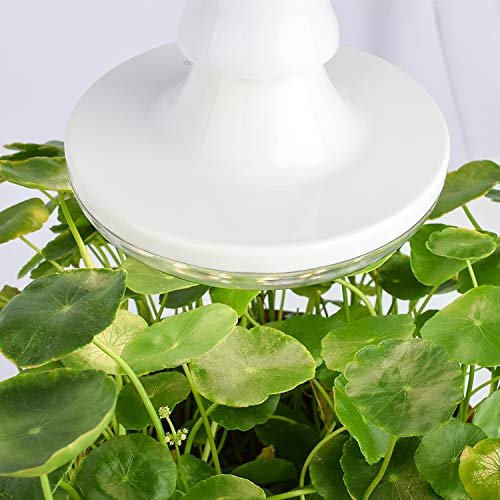 LED Plant Lamp Groeilamp E27 Bollen,Kweeklamp 50 leds,Plantengroei Licht Grow Light for Indoor Plants 4000K Volledig… - Image 5