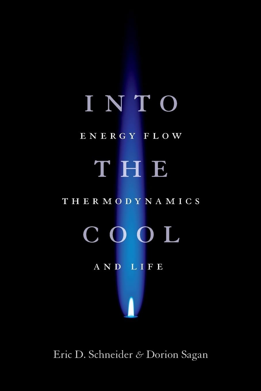 Into the Cool: Energy Flow, Thermodynamics, and Life